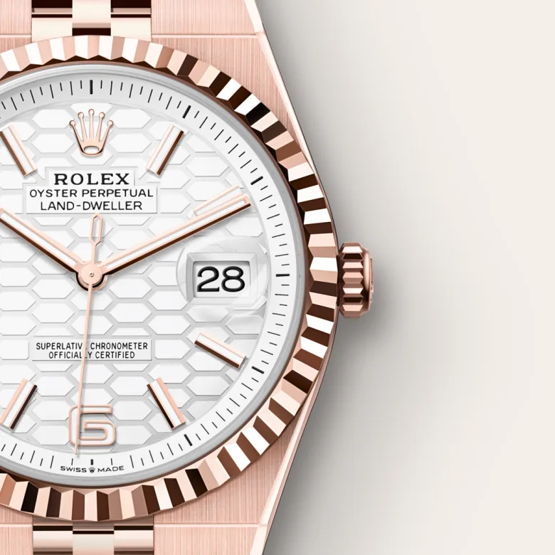 Rolex Land-Dweller 36 Intense White - gallery
