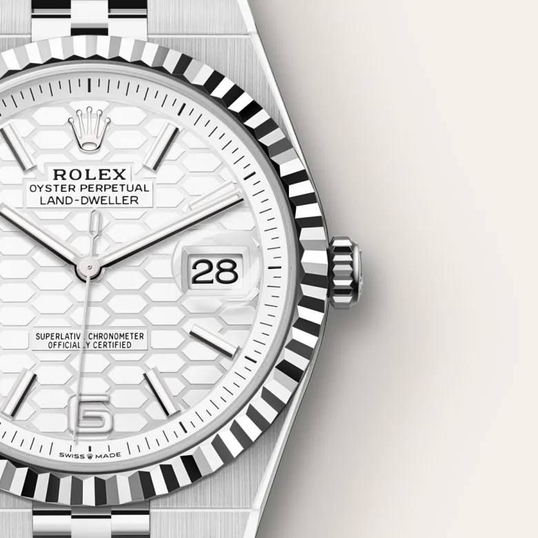 Rolex Land-Dweller 36 White Gold - view 4