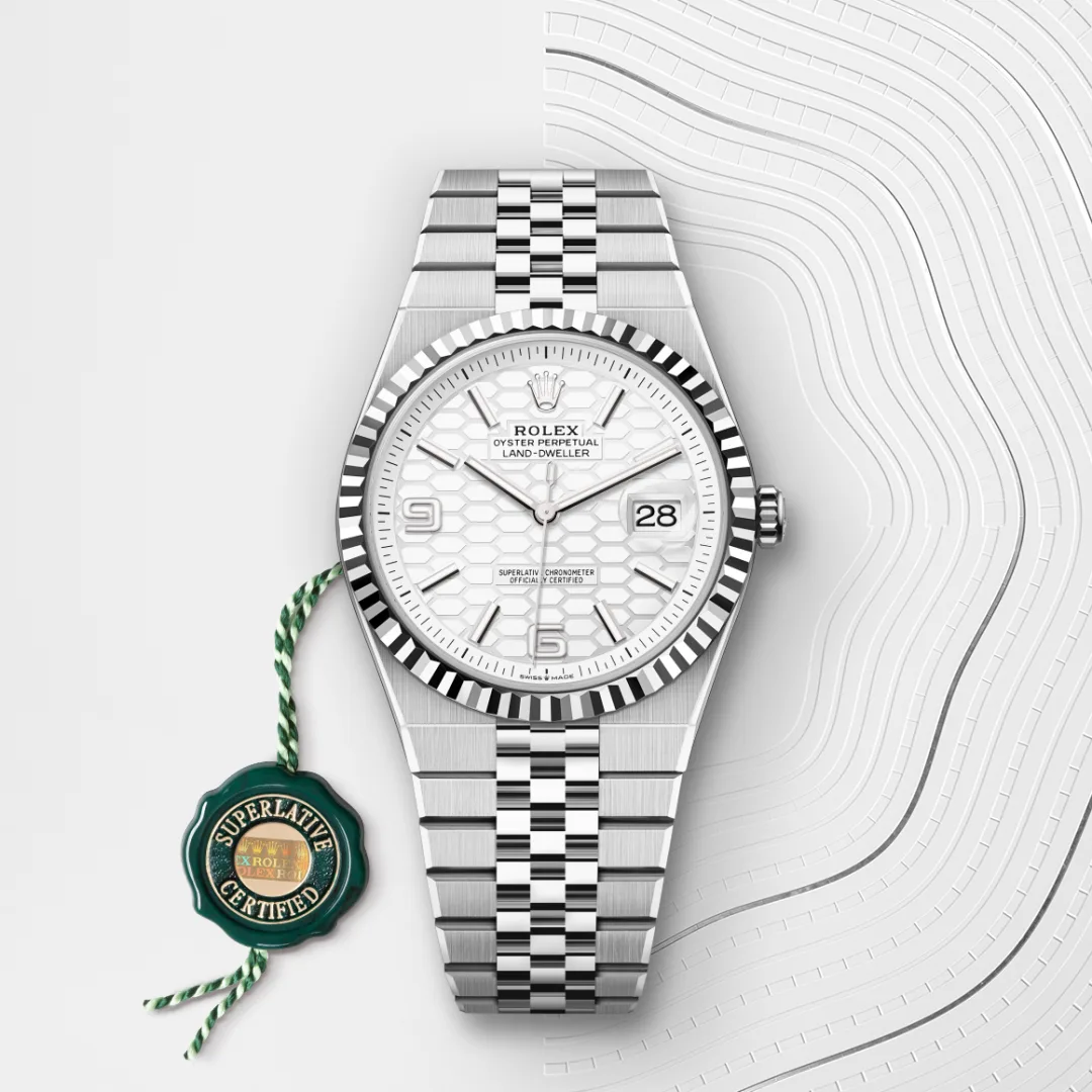 Rolex Land-Dweller 36 White Gold - view 5