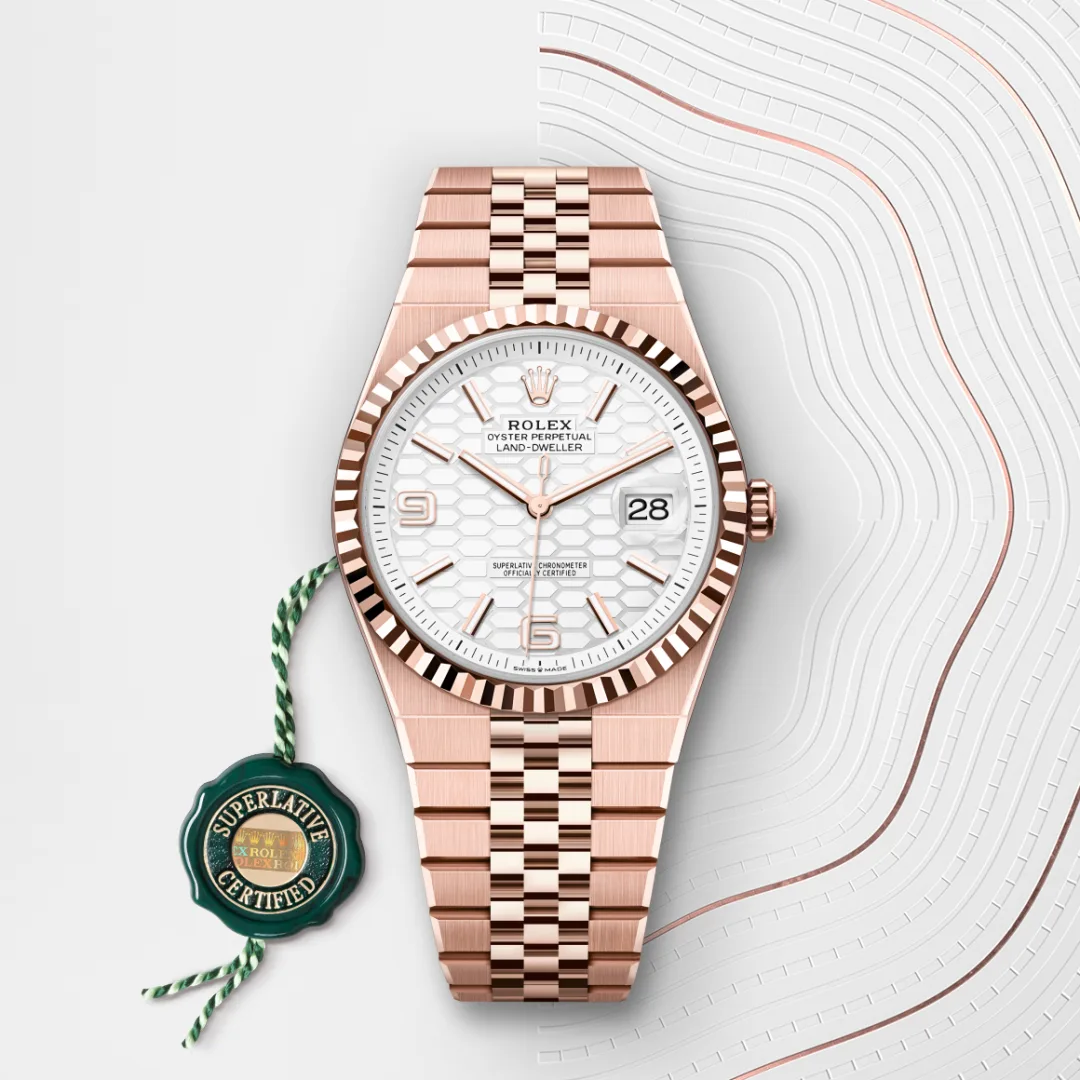 Rolex Land-Dweller 40 Intense White - view 5