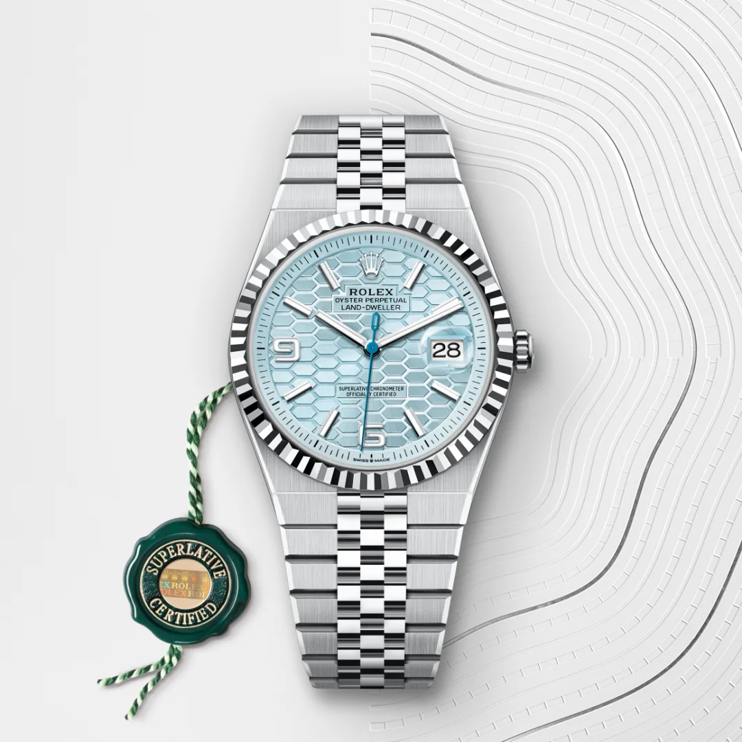 Rolex Land-Dweller 40 Ice Blue - view 5